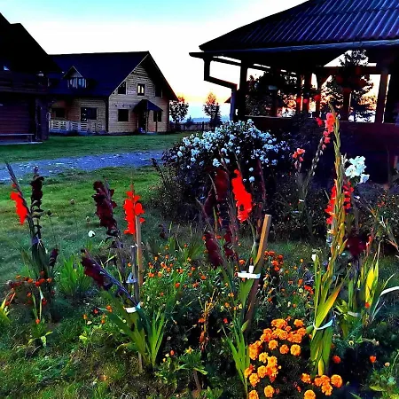 Vilă Cabanele Floricrin - 1 Cluj-Napoca