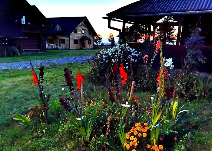 Villa Cabanele Floricrin - 1 Cluj-Napoca